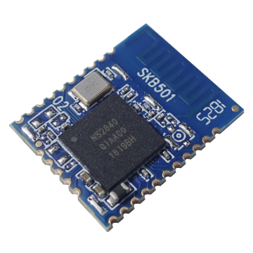 SKYLAB Cheap Long Distance Low Power Consumption Nordic nrf52840 BLE 5.0 Bluetooth Module in shenzhen